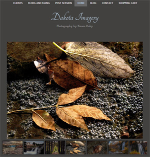 Screenshot of WordPress 3.5 site: DakotaImagery.com