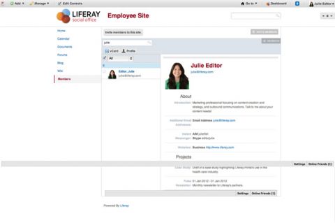User Profile within Liferay Social Office 2.0