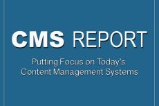 An Old CMS Report logo