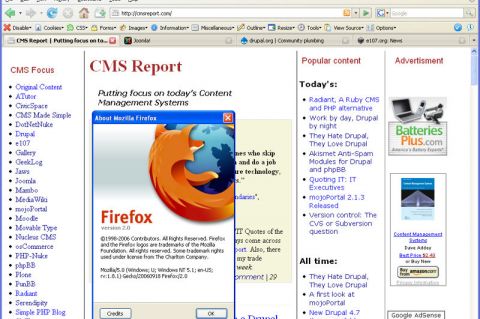 Screenshot of CMSReport.com in Firefox 2 RC1