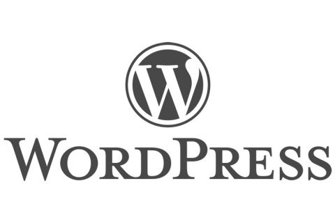 WordPress Logo Source: https://wordpress.org/about/logos/