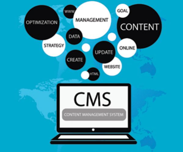 CMS Ingredients