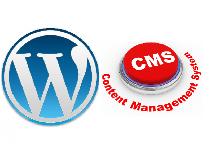 WordPress and Content Management System